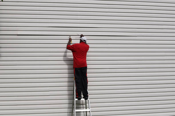 Best Siding for Commercial Buildings  in Camdenton, MO